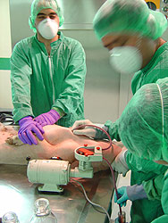 CISA Lab